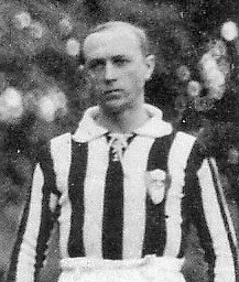 Файл:Viola joszef.jpg