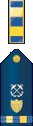 U.S. Coast Guard Chief Warrant Officer 2 Rank Insignia