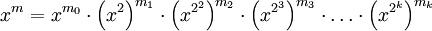 x^m=x^{m_0} \cdot \left(x^2\right)^{m_1} \cdot \left(x^{2^2}\right)^{m_2} \cdot \left(x^{2^3}\right)^{m_3}  \cdot\dots\cdot \left(x^{2^k}\right)^{m_k} 