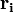 \mathbf{r_i}