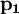 \mathbf{p_1}