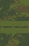 3ML.png
