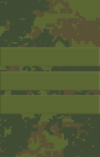 4sg.png
