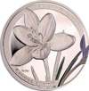 AM 1000 dram Ag 2011 Crocus b.png