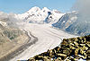 Aletschgletscher.jpg