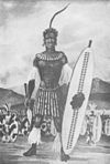 Chaka portrait.jpg