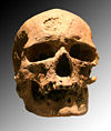 Cro-Magnon.jpg