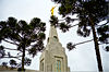 Curitiba Brazil Temple 8091 by David Terry.jpeg