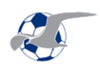 Fkhaugesund.png