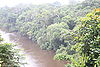 Fluss Dja Somalomo.JPG