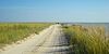 Glafirovskaya spit 2010.jpg