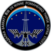 ISS Expedition 20 Patch.png