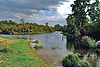 Lobau 8.JPG