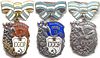 Order of Maternal Glory.jpg