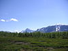 PICT0099.JPG