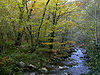 Rio muniellos.jpg