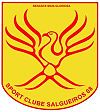 SC Salgueiros 08.jpg