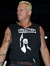 Sandman ECW.jpg