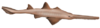 Sawfish logo.png