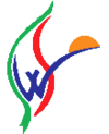 Silk Way Airlines.png
