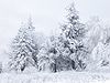 Snow Scene at Shipka Pass 1.JPG