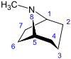 Tropane numbered.svg