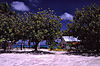 Tuvalu - Funafuti - School.jpg