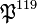 \mathfrak{P}^{119}