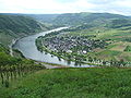 080110 wolf mosel.JPG