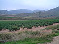 20040917 Ventosa 0119.jpeg