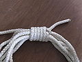 Alpine Coil Knot.jpg