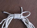 Alpine Coil Knot Step4.jpg