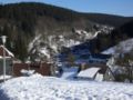Altenau1.JPG