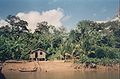 Amazonia-moradia.jpg