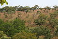 Atacora MS 10298.jpg
