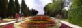 Balchik flowers.jpg