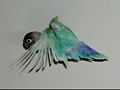 Blue mutant in flight.JPG