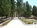 Chartar6.JPG