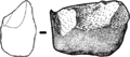 Chopper of Dmanisi.png