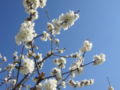 DSCN2780.JPG