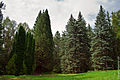 Dendropark stepanavan.jpg
