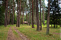 Dendropark stepanavan 4.jpg
