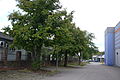 Eco parking 3.JPG