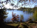 Effelder Waldsee.JPG