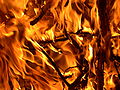 FIRE 01.JPG