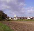 Feld Mutterstadt 1.jpg