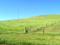 Fence.jpg