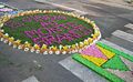 Flores Baguim do Monte.jpg