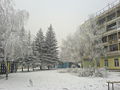 Fog in december.JPG