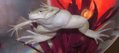 Froggy.jpg